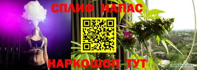 прущие грибы Дубна