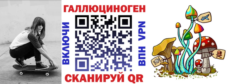 закладки  Шебекино  Псилоцибиновые грибы Cubensis 