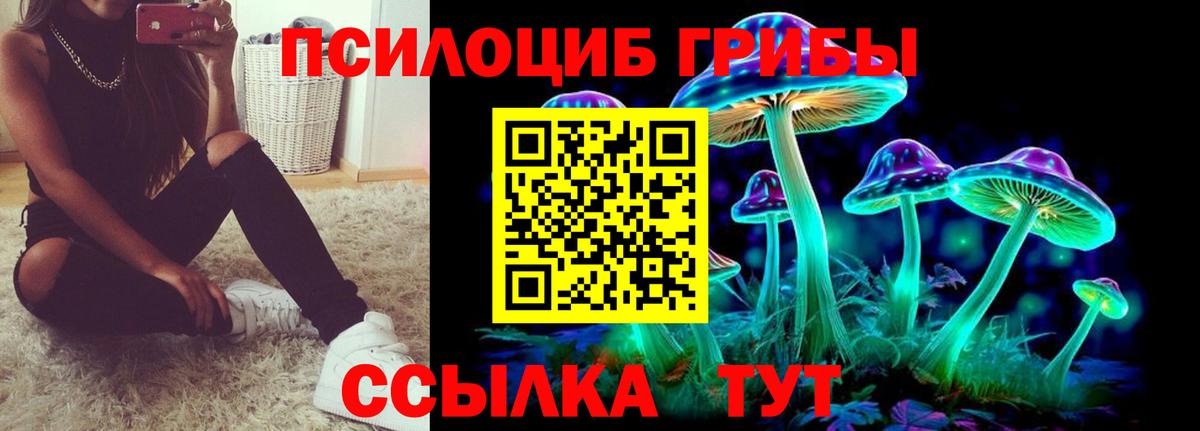 закладка  Галлюциногенные грибы MAGIC MUSHROOMS  Шебекино  Вход с VPN  Галлюциногенные грибы мухоморы 